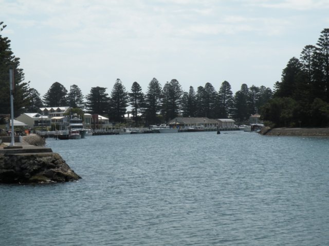 portfairysurrounds3.jpg